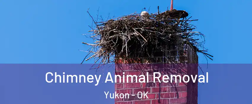  Chimney Animal Removal Yukon - OK