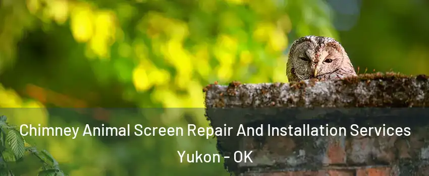  Chimney Animal Screen Repair And Installation Services Yukon - OK