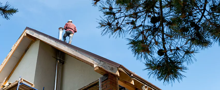 Birds Removal Contractors from Chimney in Yukon, OK